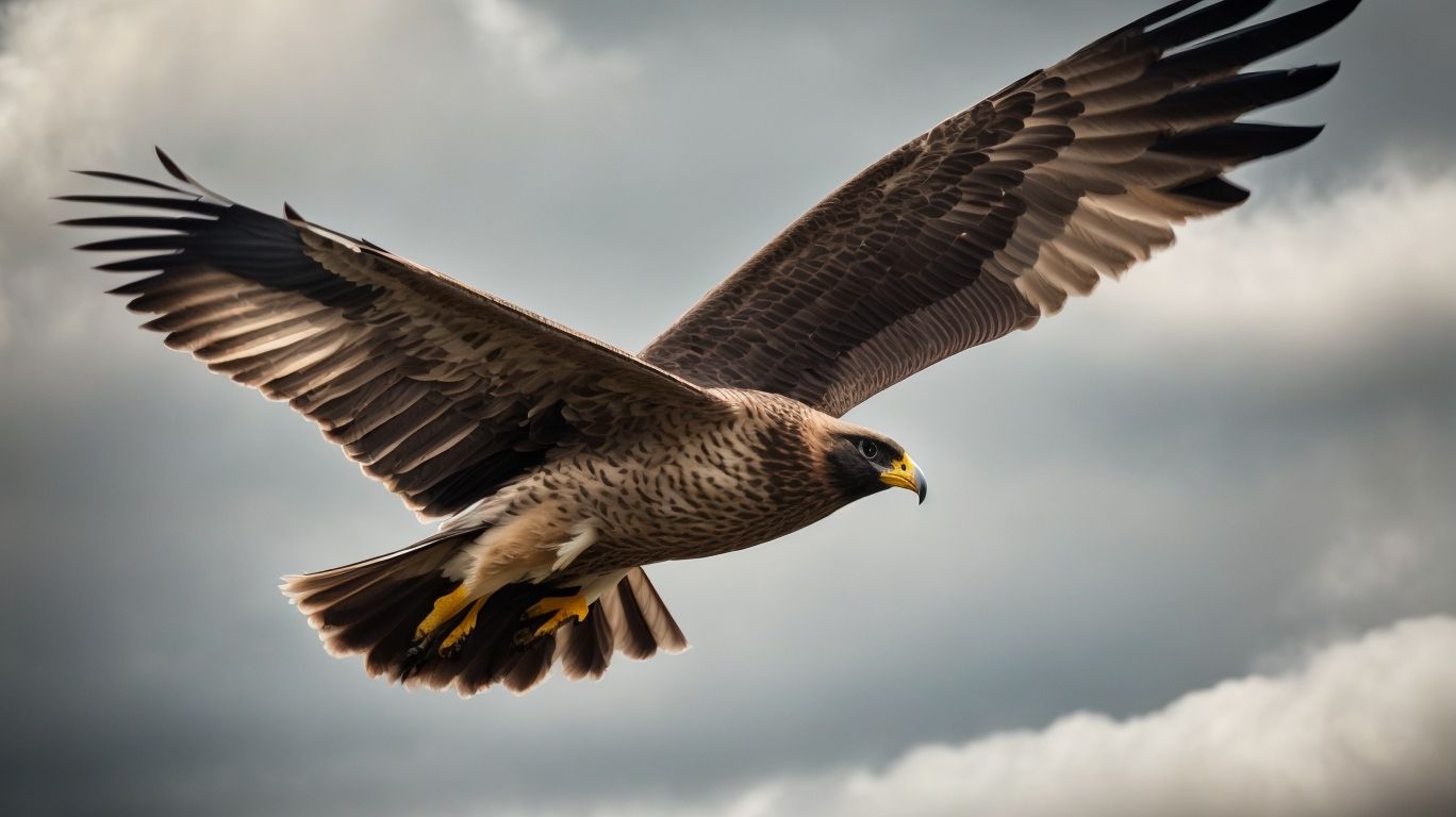 Krafttier Falke: Was der Vogel für dich machen kann
